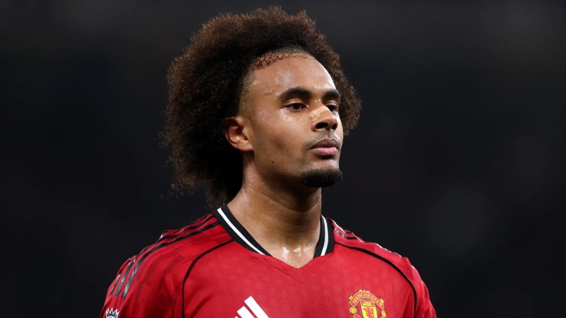Roma ចរចាទិញ Joshua Zirkzee ពី Man Utd ដើម្បីជំនួស Evan Ferguson ដែលបរាជ័យ